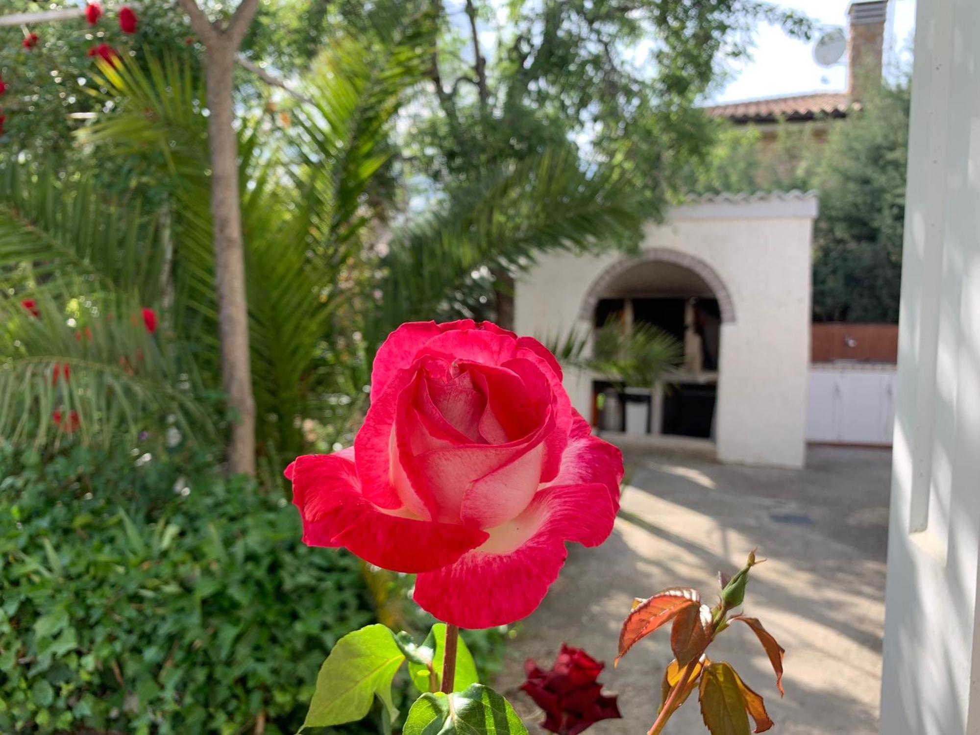 Villa Flores *