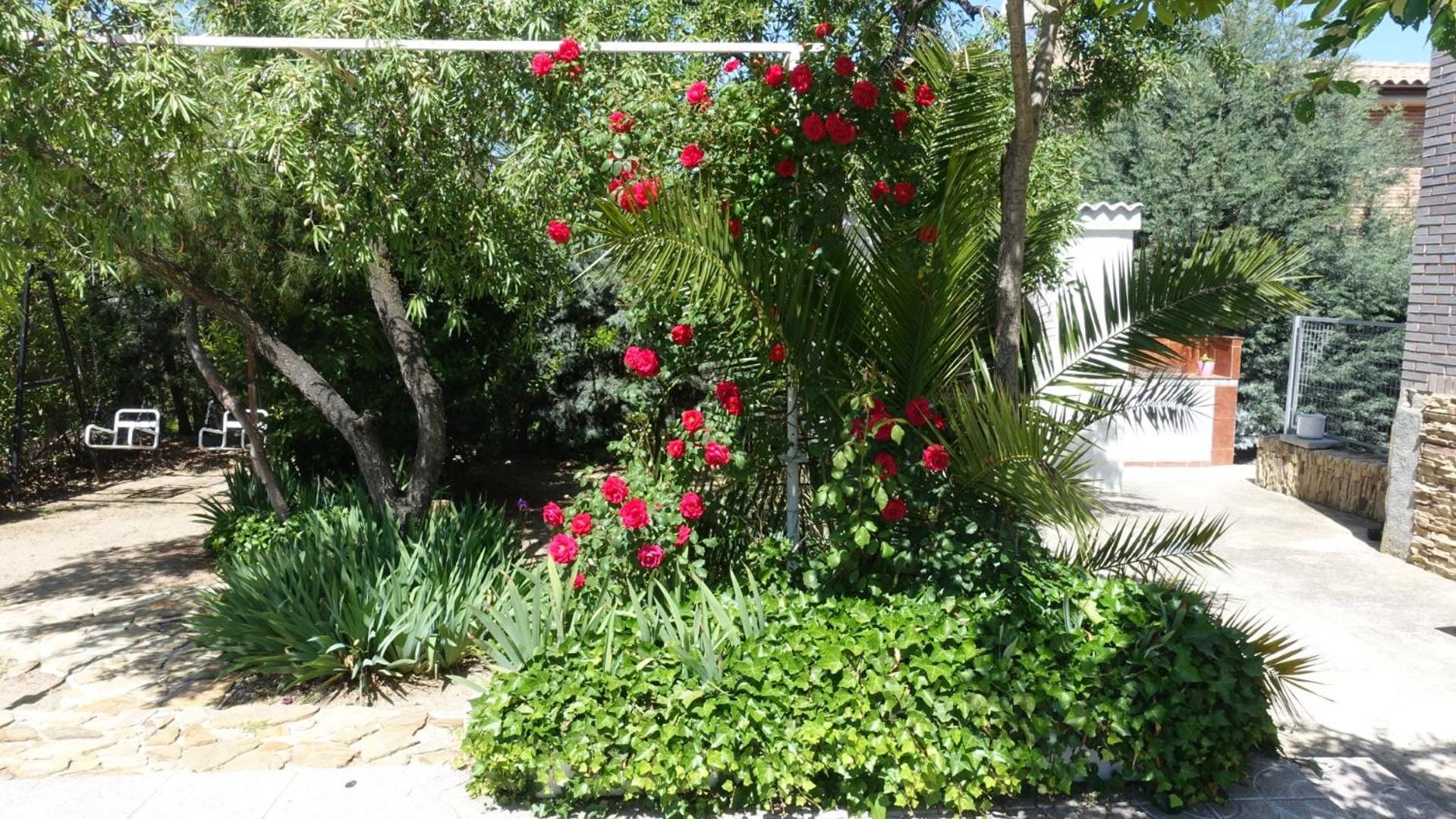Flores Navalcarnero